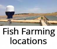 fish-farming-location-security